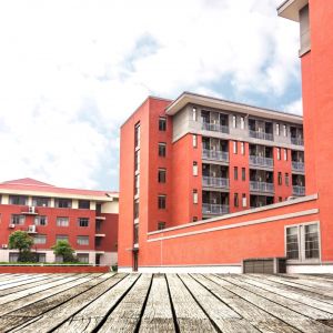 Need a School Website?