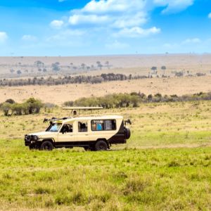 Need a Tour and Travel Website?