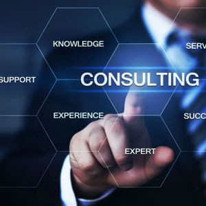 Need a Consultant Website?