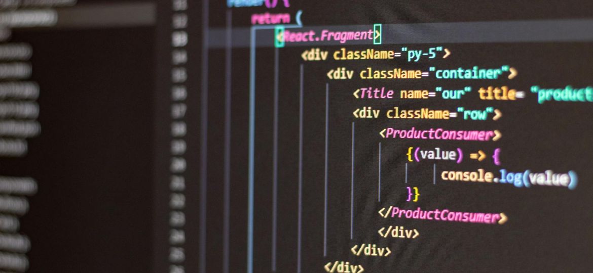 pexels-antonio-batinic-2573434-4164418 (1)